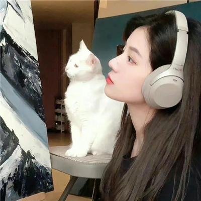 虎狼天下